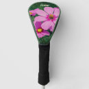 Search for pink cosmo Daisy