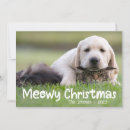 Search for cat family christmas cards Typography