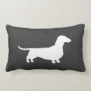 Search for sausage dog cushions Weiner