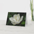 Search for southern photography Flower