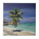 Search for idyllic tiles Coastline