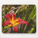 Search for day lilies mousepads Green