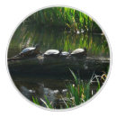 Search for turtle knobs and pulls Nature