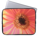 Search for orange gerbera electronics Floral