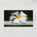 Search for frangipani business cards Spa