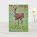 Search for deer pun cards Funny