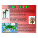 Search for celts posters Ancient