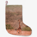 Search for giraffe christmas stockings Nature