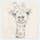 Search for animal sketch stickers Zoo