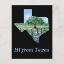 Search for texas bluebonnet postcards Field