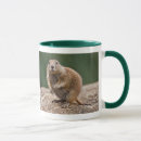 Search for prairie dog mugs Marmot