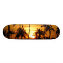 Search for night skateboards Summer