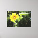 Search for sunflower canvas prints Modern