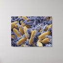 Search for colour effect canvas prints Food