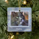 Search for pet memorial ornaments Tribute