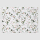 Search for fern tissue paper Eucalyptus