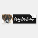 Search for snow bumper stickers Dog
