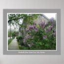 Search for lilac bushes posters Leaves