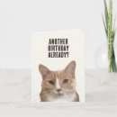 Search for cat puns cards Animals