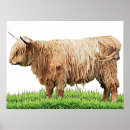 Search for highland cow art Farm animals