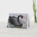 Search for black swan cards Best wishes