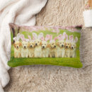 Search for funny easter bunny cushions Bunnies