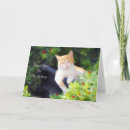 Search for for pet sitting thank you cards Cat