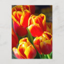 Search for florists postcards Garden