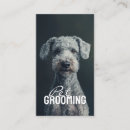 Search for pet portrait business cards Dog walker