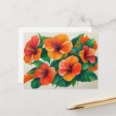 Search for hibiscus flower postcards Nature