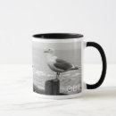 Search for seagulls mugs Coast