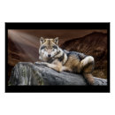 Search for wolf posters Animal