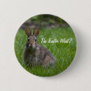 Search for easter bunny photography Grass