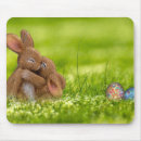 Search for easter egg electronics Animal