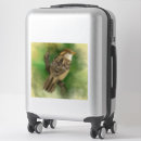 Search for large bird stickers Watercolor