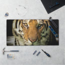 Search for danger electronics Animal