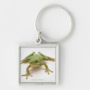 Search for green frog key rings Studio shot