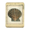 Search for creatures magnets Sea