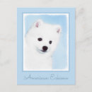 Search for eskimo dog postcards Puppy