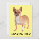 Search for funny chihuahua birthday cards Dog