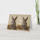 Search for precious cards Photography