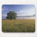 Search for cades cove electronics Park