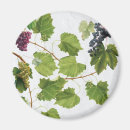 Search for wine grape magnets Vintage
