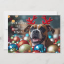 Search for boxer christmas cards Cute dog