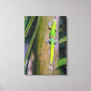 Search for gecko art Reptile