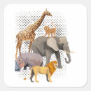 Search for african animals stickers Zoo