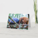 Search for great dad cards Wildlife