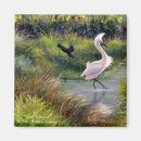 Search for fowl magnets Nature