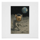 Search for chihuahua posters Moon