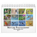 Search for photography calendars Hummingbird